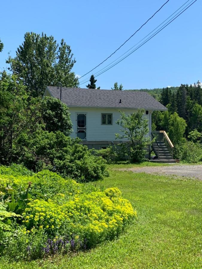 Chalets Les Chanterelles De Forillon L'Anse-au-Griffon Bagian luar foto