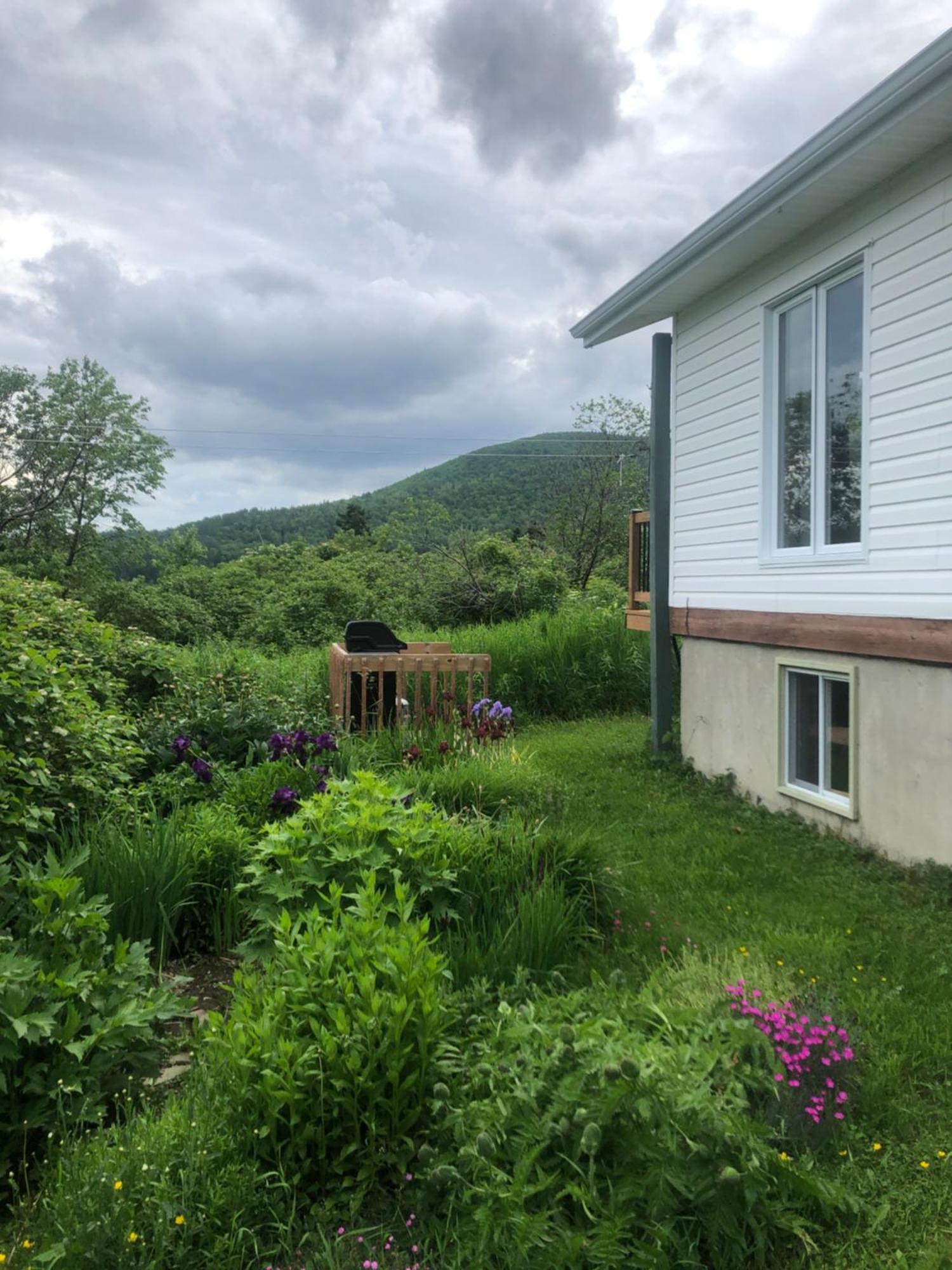 Chalets Les Chanterelles De Forillon L'Anse-au-Griffon Bagian luar foto